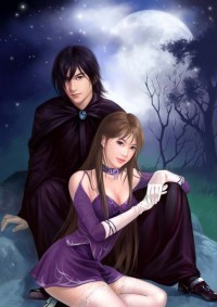 我老婆会武功